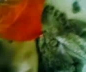 ব্লজব মাই এর কাজের হাতের কাজ বড়ো সানি লিওন সেক্ পোঁদ